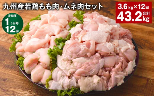 【1ヶ月毎12回定期便】 九州産若鶏もも肉・ムネ肉セット 計約43.2kg（約3.6kg×12回） 鶏肉 もも肉 ムネ肉【お申込み翌月から出荷】