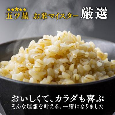 ふるさと納税 松原市 ご飯パック 金賞健康米 キラリモチ 120g×12個入り 国産 レンチン |  | 01