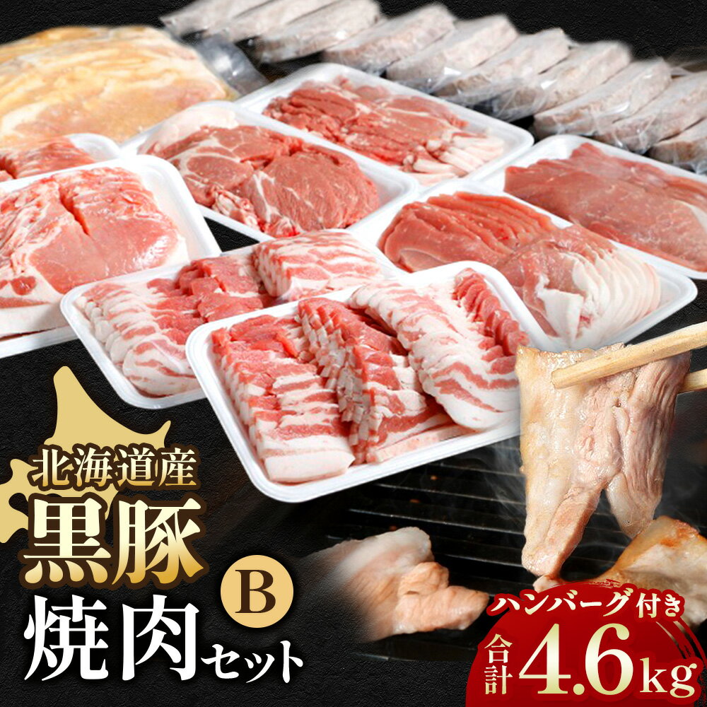 【ふるさと納税】北海道 黒豚焼肉セットB 4.6kg ハンバーグ10個 味噌漬け付 国産黒豚 豚肉 焼肉用セット 冷凍 食べ比べ 大容量 送料無料