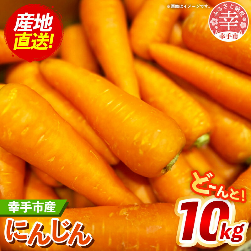 【ふるさと納税】【きあり農園】幸手市産 人参 10kg - 採れたて にんじん ニンジン 産地直送 野菜 ベジタブル 美味しい おいしい 根菜 煮物 炒め物 カレー サラダ おすすめ 送料無料 埼玉県 幸手市