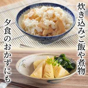 たけのこ水煮缶 1.5kg(3缶) 京都山城産たけのこ