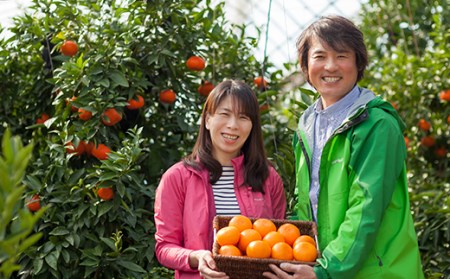 野菜ソムリエ石児さんの「特選 温州みかん 5kg」 ミカン みかん 蜜柑 柑橘 5kg 柑橘類 先行予約 甘い 温州みかん フルーツ ＜103-006＞
