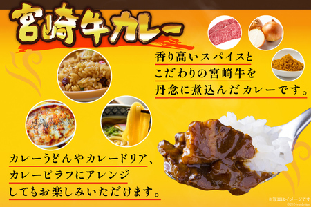 【カレー】 カレー レトルト 宮崎牛カレー 160g 12食 セット