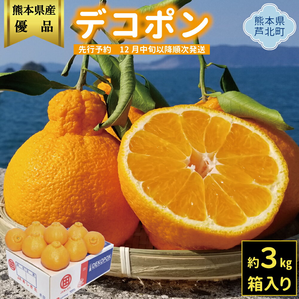 【ふるさと納税】糖度13度以上の優品!! デコポン 3kg ジューシーで甘く濃厚な味わい 【ハウスデコポン】 不知火 の中で選ばれた みかん 熊本県産 ふるさと納税 デコポン フルーツ 果物 先行予約 人気 ランキング | 2025年12月中旬より順次発送