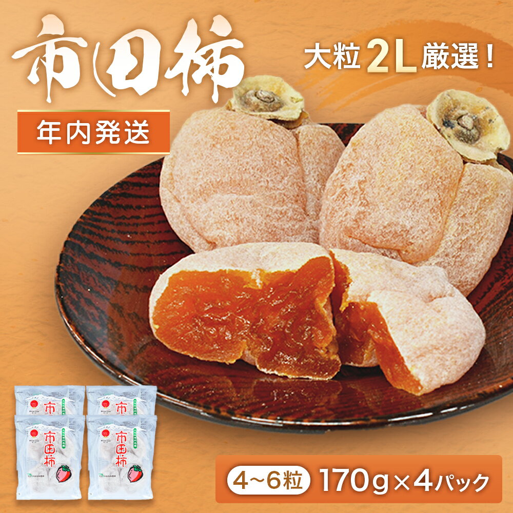 【ふるさと納税】市田柿 (大粒2Lのみ厳選)約170g×4パック※2025年12月発送予定※