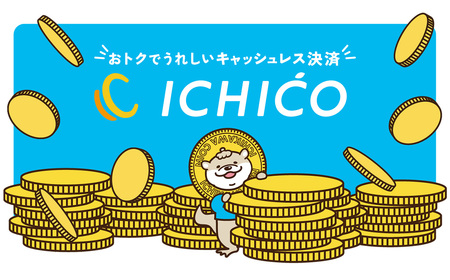 デジタル地域通貨ICHICOふるさとポイント300,000pt　【12203-0287】