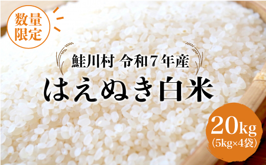 ◇数量限定品◇ ＜令和7年産＞ はえぬき 【白米】 20kg （5kg×4袋）鮭川村 《配送時期指定可》
