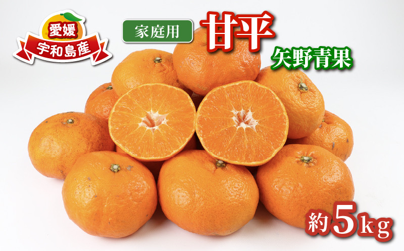 
            甘平 5kg 家庭用 矢野青果 高級 希少 限定 品種 ブランド 高級柑橘 甘い シャキシャキ かんぺい 希少 果物 くだもの フルーツ 柑橘 みかん 蜜柑 愛媛蜜柑 愛媛みかん mikan 農家直送 産地直送 数量限定 国産 愛媛 愛媛県 宇和島 B015-171009
          