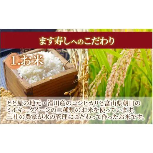 冷凍ます寿し1段【本州のみ発送】 | 鱒 マス 寿司 鮨 すし ますずし 真空パック 310g