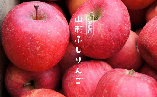 
            【令和7年産先行予約】 〈家庭用〉 ふじりんご 約10kg (28玉前後入り) 《令和7年12月上旬～発送》 『Yamagataうまいな中村屋』 リンゴ 果物 フルーツ デザート 山形県 南陽市 [1741]
          