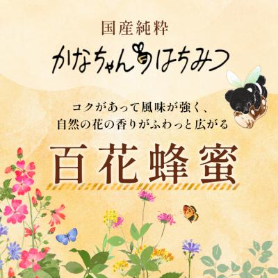 ふるさと納税 設楽町 国産純粋 無添加 百花蜂蜜 大瓶 320g かなちゃんはちみつ 非加熱 ハチミツ 天然 |  | 01