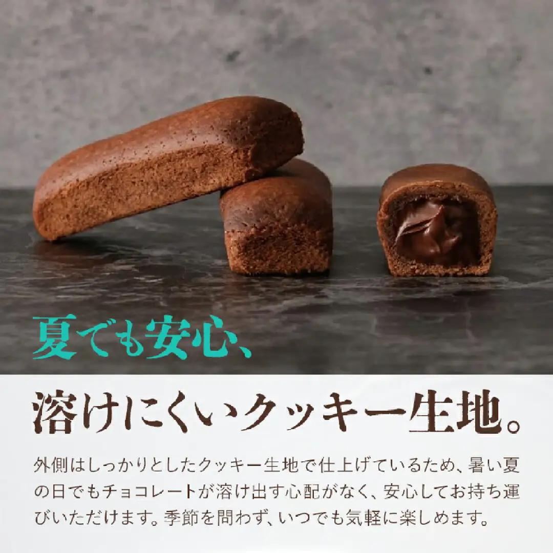 濃厚 フォンダンショコラ ASO BATON 10個 古今堂《30日以内に出荷予定(土日祝除く)》 熊本県 南阿蘇村 チョコ チョコレート ショコラ 熊本 土産 お茶菓子 デザート お菓子 スイーツ