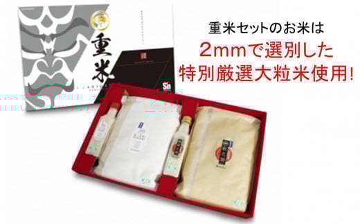 【令和7年産米】コシヒカリ 3.3kg・新之助 3.3kg 食べ比べセット 無洗米 （計 6.6kg） 重米セット [Y0085]