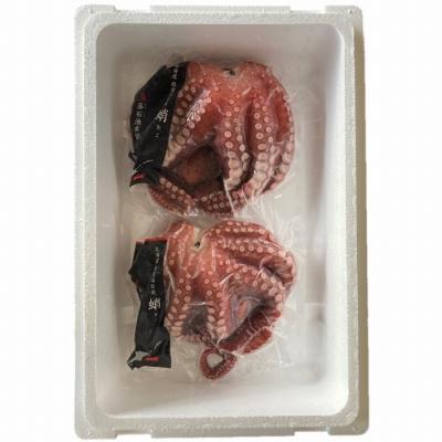 ふるさと納税 根室市 【年内配送可○】★柳蛸ボイル2杯(計2kg) B-20012 |  | 03