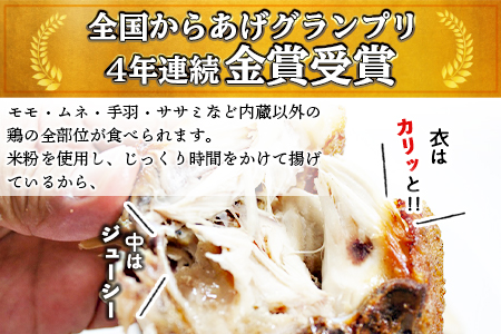 ＜半身からあげ（スパイス味）3本セット＞【 唐揚げ 鶏 とり 鶏肉 揚げ物 パーティー お祝い】翌月末迄に順次出荷