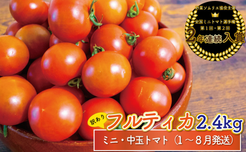 【2026年1月～8月頃発送】＜約2.4kg　訳あり アイメック フルティカ トマト＞ましまファーム ミニトマト フルーツトマト