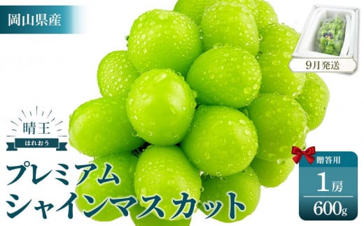 2025年予約受付中  プレミアム　シャインマスカット　晴王 1房　約600g　シャインマスカット マスカット ぶどう 葡萄 岡山県産  赤秀品　 種無し 皮ごと食べる　 みずみずしい 　9月～10月　お届け フレッシュ　晴れの国おかやま 果物大国　贈答品 　彩美菜果 　岡山県 岡山市 おすすめ 人気 】