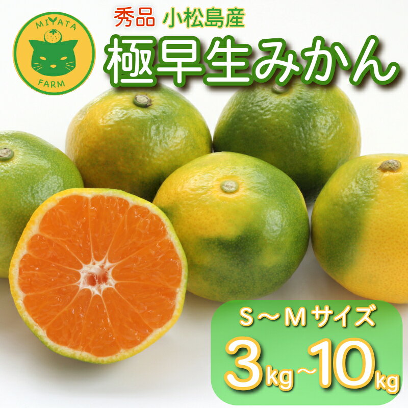 【ふるさと納税】 【2025年9月20日以降発送】 みかん 秀品 極早生みかん 3kg～10kg 蜜柑 ミカン 柑橘 旬 フルーツ 果実 ジュース 小松島市 甘い ジューシー デザート 産地直送