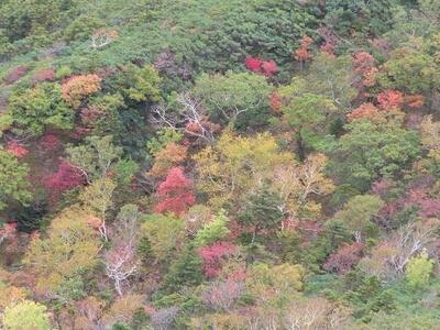 ＜日高山脈襟裳十勝国立公園＞　北海道様似町アポイ岳ガイドツアー 2泊5食付き（令和6年11月8日～10日実施）　新千歳空港送迎有（２名様）