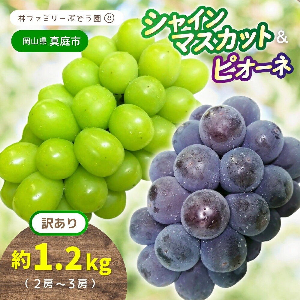 【ふるさと納税】 【 訳あり 】岡山県産 林ファミリー の シャインマスカット & ピオーネ 約1.2kg（約2～3房） 【2025年 先行予約 】 / 葡萄 ぶどう ブドウ マスカット 果物 フルーツ 食べ比べ 新鮮 当日出荷 家庭用 お試し ぶどう専門 岡山 真庭市