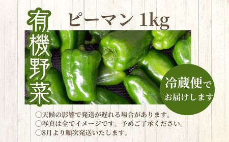 《2025年8月以降順次発送》ピーマン1kg オーガニック 有機栽培 有機 有機JAS 有機野菜 野菜 ピーマン ぴーまん 1kg おすすめ お中元 お歳暮 ギフト 二本松市 ふくしま 福島県 送料無