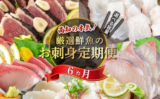 刺身 定期便 【 6ヶ月 】 小島水産 がお届けする！ 美味しい お刺身 選べる 大容量 小容量 コース ( 鮮魚 下処理済 )  産地直送 半年 新鮮 鮮魚 ( 6回 お楽しみ 定期便 お刺身 かつお タタキ カツオ 鰹 鯛 たい 真鯛 タイ 鰤 ぶり ブリ 勘八 カンパチ かんぱち シマアジ 縞鯵 しまあじ 高級魚 魚貝 )  便利な定期便 KS28000-3xALL