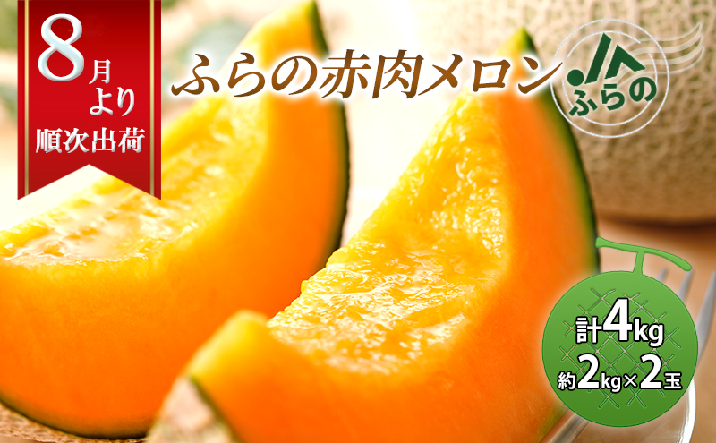 2026年夏発送  JAふらの厳選！ふらの 赤肉 メロン 2kg×2玉  メロン めろん 富良野メロン 果物 くだもの フルーツ 富良野 デザート 北海道 贈り物 ギフト 果物類 メロン赤肉 赤肉メロン 