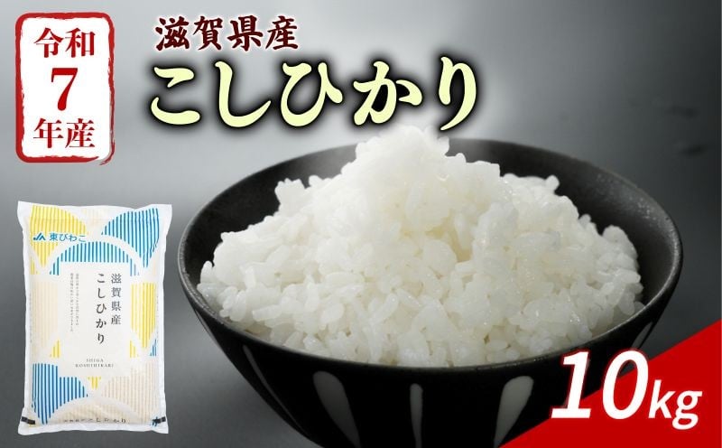 
                  こしひかり 10kg 令和7年産 米 精米 こめ コメ お米 ご飯 米 コシヒカリ 10キロ 令和7年 滋賀 彦根
                