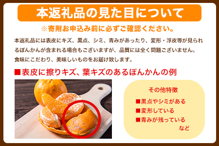 『清晃アグリ』のご家庭用ポンカン 約4kg(M-3Lサイズ)《12月中旬-1月中旬頃出荷》予約受付中 フルーツ 秋 旬 少し青くても甘くてジューシー♪熊本県玉名郡玉東町