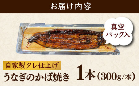 魚 鰻のかば焼き 1本 [AIEH004]うなぎ