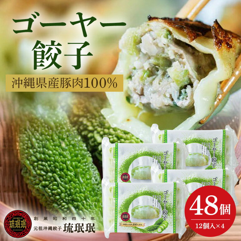 【ふるさと納税】【琉みんみん】沖縄県産ゴーヤー餃子　4パック 　48個入り