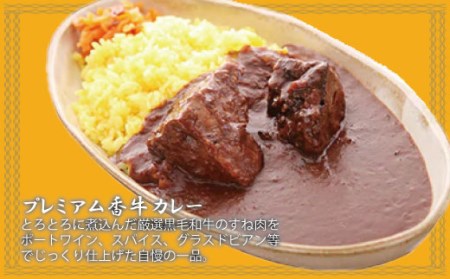 夏限定！カレー専門店「香牛かれー香壺」の詰合せAセット3回定期便 L11-S