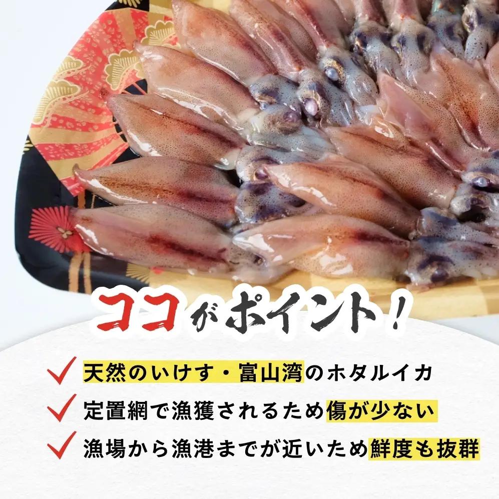 鮮度そのまま！富山湾の神秘ホタルイカ しゃぶしゃぶ用 200g 〈冷凍〉　ホタルイカ