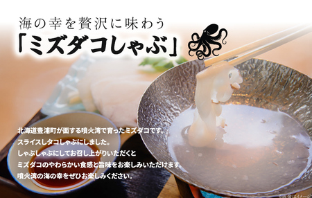 タコしゃぶセット 250g×2パック TYUR050