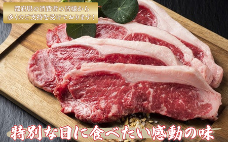 鹿追牛ロースステーキ（鹿追牛Cセット） 180g×4 SKA005