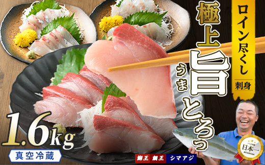 【お刺身用】ロイン3種詰め合わせ 約1.6kg 切って盛るだけ ロイン 鰤王2節 鯛王4節 シマアジ4節 テレビで紹介ぶりの王様「 鰤王 」 届いてすぐに食べれる 長島町 冷蔵 ふるさと納税 【JFA】jfa-1497