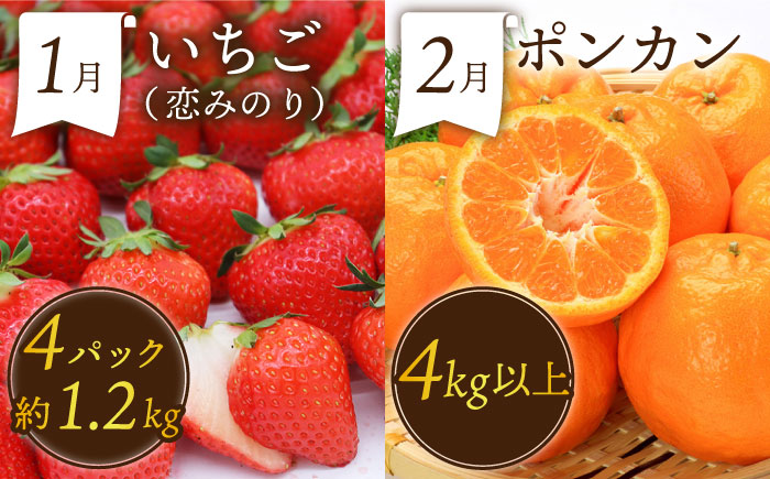 【12回コース】果物屋が選ぶ旬のフルーツ定期便 いちご メロン びわ みかん 梨 柿 など フルーツ定期便 / 南島原市 / 贅沢宝庫 [SDZ023]