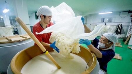 蔵元セレクション 日本酒 純米吟醸 セット 飲み比べ セット [AM012ci]