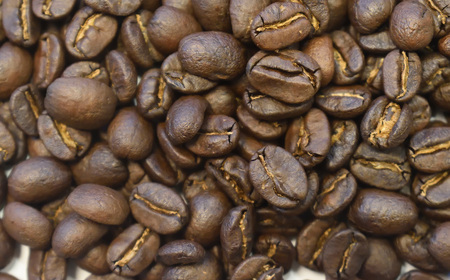 スペシャルティコーヒー豆 ミャンマーウォッシュド 200g×2　計400g【TAIYO COFFEE ROASTERS】ミャンマー 珈琲 コーヒー コーヒー豆 スペシャルティ スペシャリティ 下呂市【
