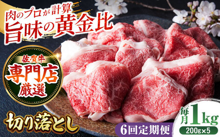 【全6回定期便】佐賀牛 切り落とし200g×5パック HAA081 切り落とし 国産 和牛 牛肉