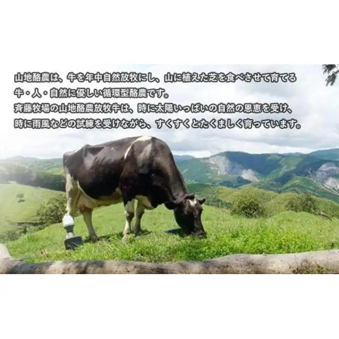 【12か月定期便】山地酪農牛乳1L×4本 ＼ バターができるミルク ／ 低温殺菌 生乳100％ 成分無調整 牛乳 高知県 南国市