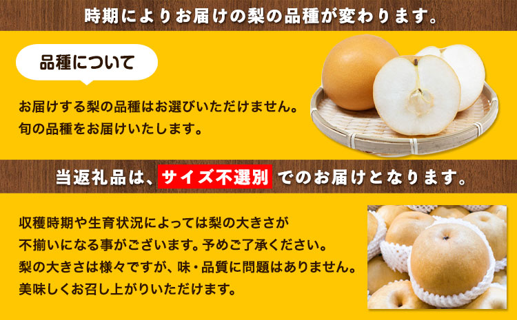 【先行予約】秀品 岡山県産 旬の 梨 約4kg 3～10玉前後 梨 秀品 新高 愛宕 スイーツ フルーツ デザート 旬 岡山県矢掛町《9月上旬-1月末頃に出荷予定》---ofn_ssn_af91_25
