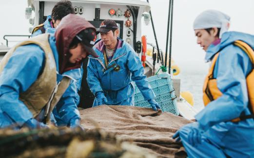 <先行予約2025年11月中旬から発送>牡蠣職人が厳選した殻付きカキ 3.5kg（生食可）牡蠣　かき　カキ　海鮮　魚介　国産　殻付き　冷蔵　焼き牡蠣　蒸し牡蠣　産地直送　生牡蠣　生食