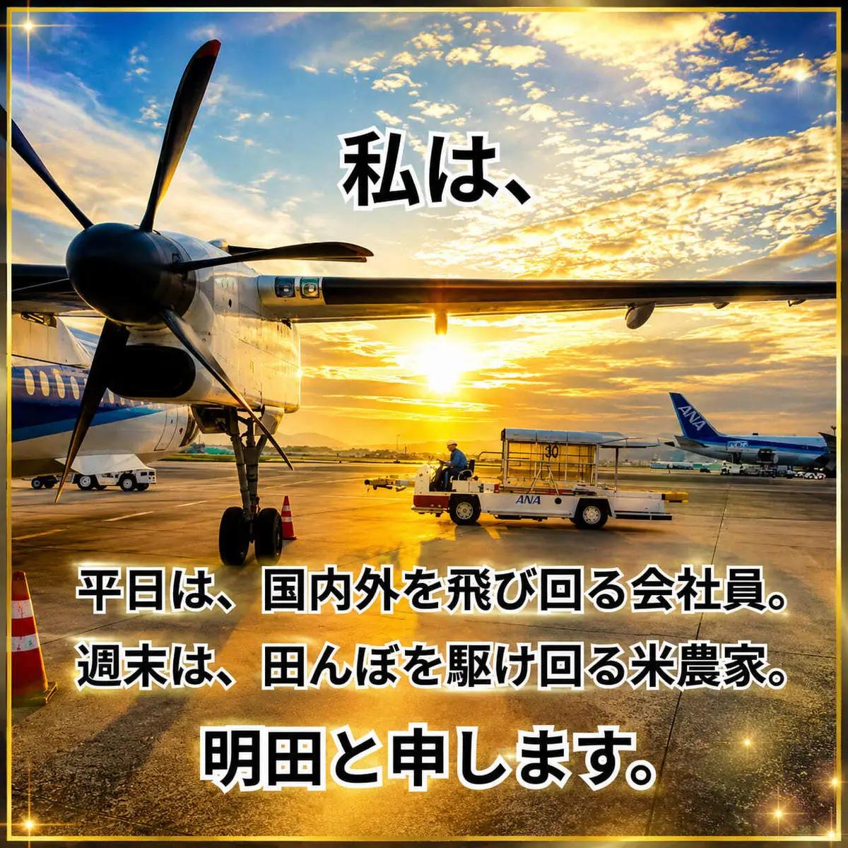 令和8年産 新米 キヌヒカリ 10kg (精米) 明田のお米 精米 お米 新米 令和8年産