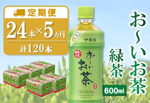 【5か月定期便】おーいお茶緑茶 600ml×24本(合計5ケース)【伊藤園 お茶 緑茶 まとめ買い 箱買い 熱中症対策 水分補給】D3-A071359