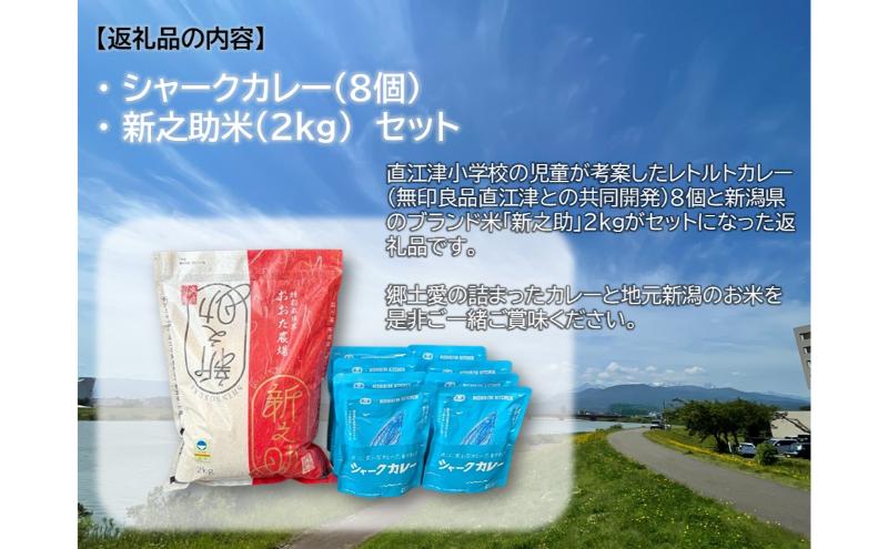 直江津小学校の児童が考えたシャークカレー（8個）と新之助米（2kg）セット カレー ルー 米 上越市