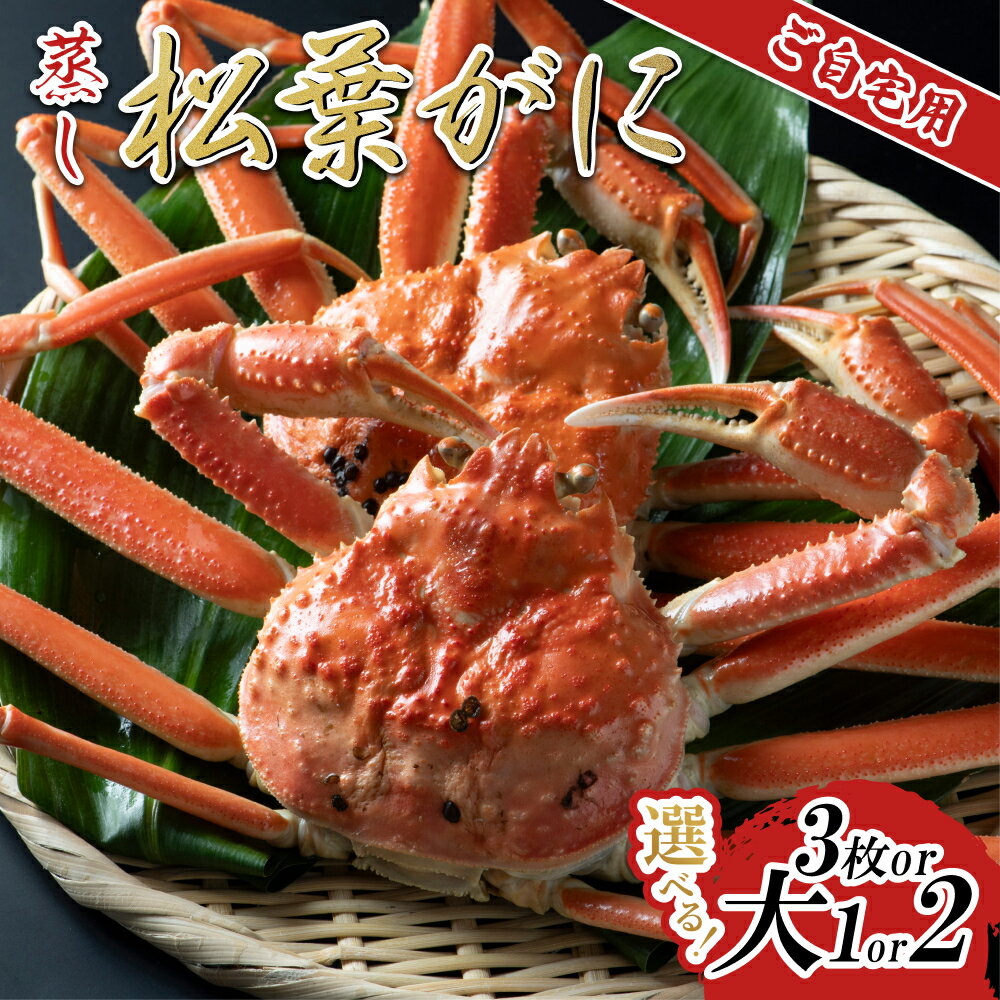 【ふるさと納税】【先行予約】【蒸し】ご自宅用松葉ガニ 1～3枚｜鳥取県 かに ずわいがに 大1枚、大2枚、3枚 発送11月～