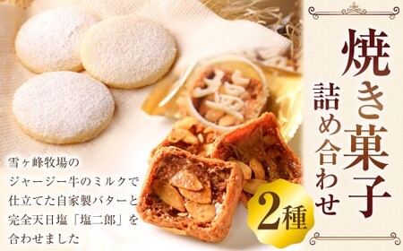 幸せを呼ぶポルボローネ & 田野屋塩二郎プチシューラスク 計2箱（各1箱） ／  ポルボローネ クッキー バタークッキー ラスク シューラスク 焼き菓子 お菓子 洋菓子 スイーツ デザート 常温