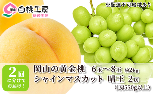 桃 ぶどう 2024年 先行予約 黄金桃 2kg シャインマスカット 晴王 2房 1房550g以上 2回に分けてお届け！もも 葡萄 定期便 岡山 国産 フルーツ 果物 ギフト 桃茂実苑 