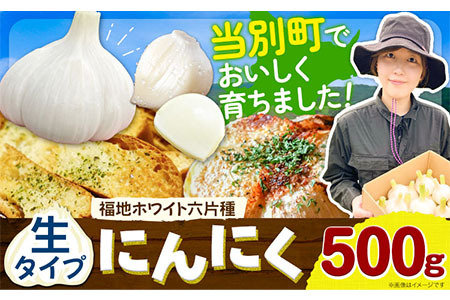 [0.4-194]　【令和7年発送先行受付】生にんにく（福地ホワイト六片種）500g